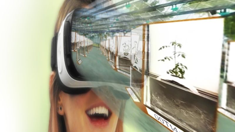 The Virtual Reality Breeding tool