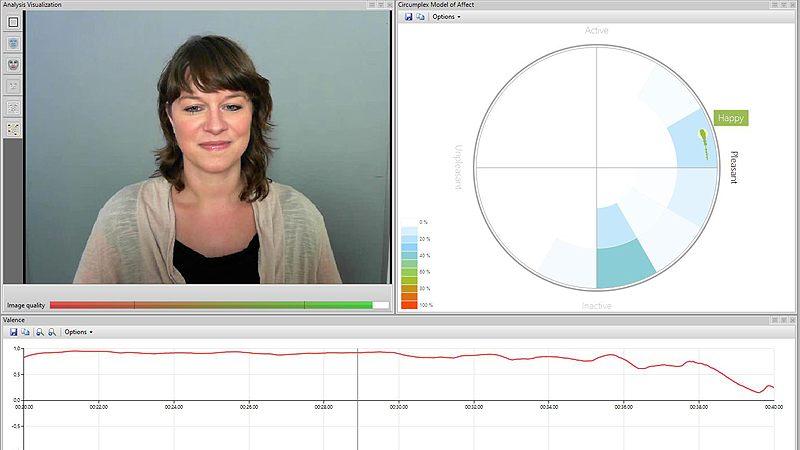 FaceReader: real-time expression analysis