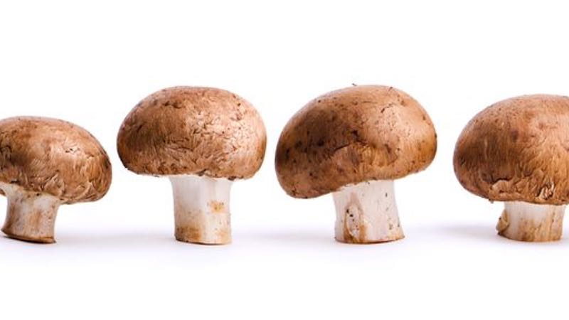 Whole food, novel approved, vegan vitamin D from mushrooms