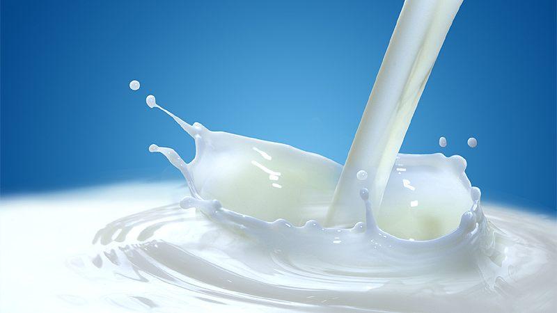 Rapid milk-fraud ELISA test