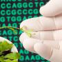 Transcriptome-based technologies for plant biotechnology