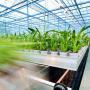 Sustainable, efficient, advanced crop-production systems