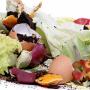 Registering food waste with the Waste Coach