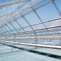 Double-glazed greenhouse roof with Fresnel lenses