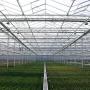 Smart aluminium greenhouse construction with high light transmission
